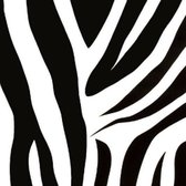 Plakfolie Zebra 6495 - 45cm x 2m