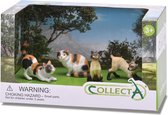 Collecta Katten: Speelset In Giftverpakking  4-delig