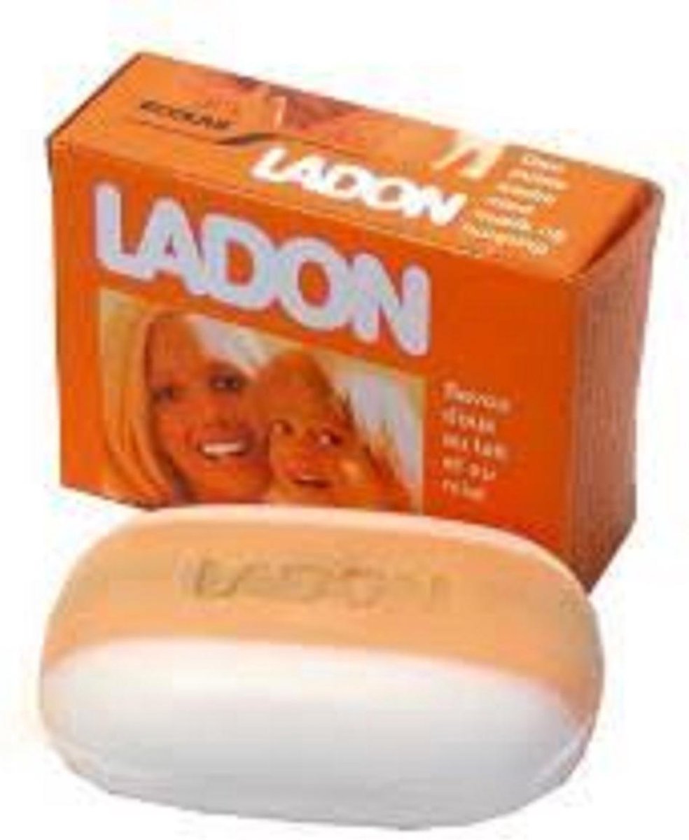 Ladon zeep - 6 x 100 gram | bol.com