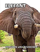 Elefant