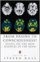 From Brains to Consciousness?
