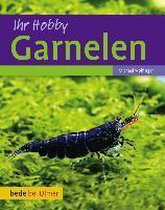 Ihr Hobby Garnelen