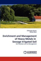Enrichment and Management of Heavy Metals in Sewage Irrigated Soil