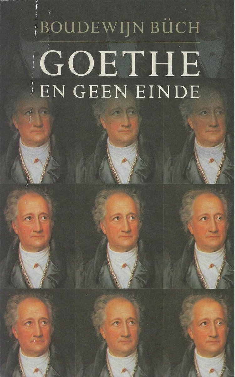 Goethe En Geen Einde - Boudewijn Buch