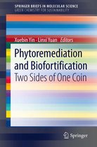 SpringerBriefs in Molecular Science - Phytoremediation and Biofortification