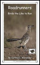 15-Minute Animals - Roadrunners: Birds that Like to Run: Educational Version