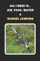 All I Need Is Air, Food, Water And Bungee Jumping