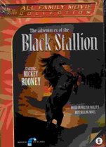 The adventures of the Black Stallion