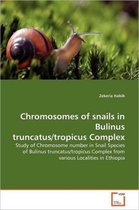 Chromosomes of snails in Bulinus truncatus/tropicus Complex