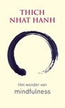 Het wonder van mindfulness