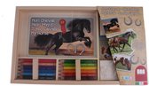 Multiprint Paarden Kleurset 19-delig
