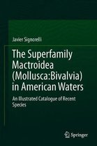 The Superfamily Mactroidea (Mollusca: Bivalvia) in American Waters: An Illustrated Catalogue of Recent Species
