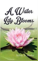 A Water Lily Blooms