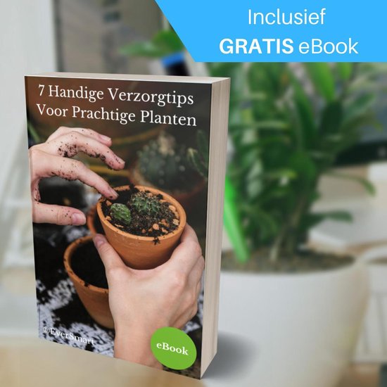 Waterdruppelaar Set van 12 Stuks Met Kraantje Incl eBook