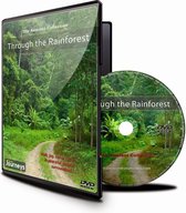 Fitness Reizen - Door het regenwoud