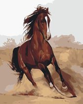 schilderen op nummer Brown Horse Running
