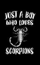 Just A Boy Who Loves Scorpions