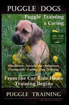 Puggle Dogs, Puggle Training & Caring By D!G THIS DOG TRAINING Obedience - Socializing - Behaviors - Commands - Caring - Dog Training