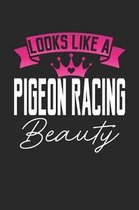 Looks Like a Pigeon Racing Beauty