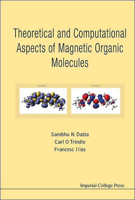 Theoretical And Computational Aspects Of Magnetic Organic Mo ... - cover