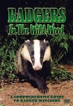 Badgers, In The Wild Wood