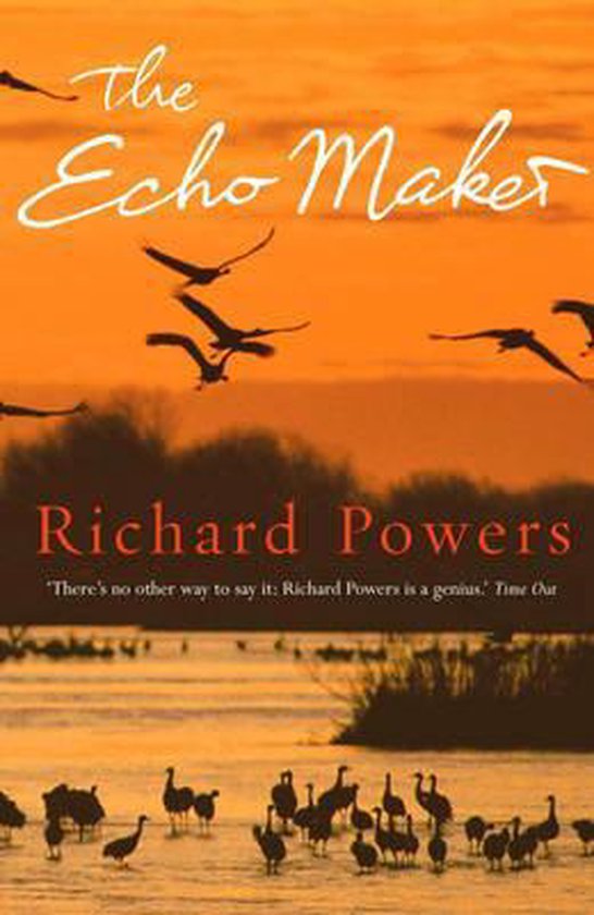 Boekcover 'The Echo Maker' van Richard Powers met silhouette van vogels in de lucht en op het water bij zonsondergang.