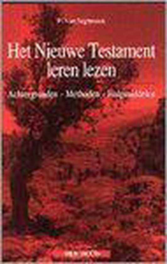 Nieuwe Testament Leren Lezen Dr3 9789033441684 Van Segbroeck Boeken bol Nieuwe Testament Leren Lezen Dr3 9789033441684 Van Segbroeck Boeken bol
