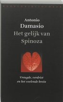 Het gelijk van Spinoza