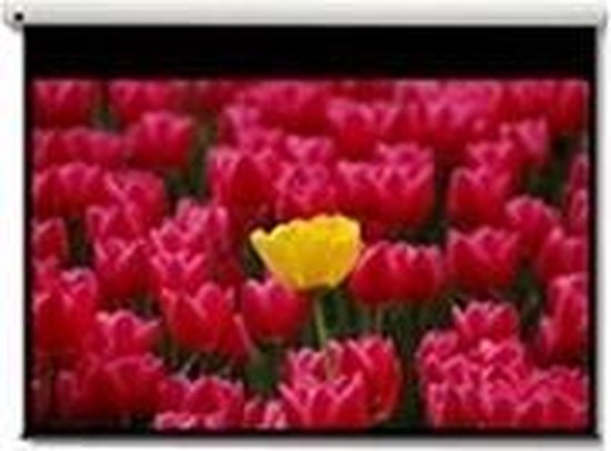ESMART Economy EXM Gemotoriseerd canvas 240 x 135 cm (108) | Formaat 16:9 | Afstandsbediening | Thuisbioscoop Elektrisch projectoren Projectiescherm Motorscherm LCD