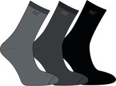 Regatta Mens 3 Socks/ Box Wandelsokken - Mannen - Grijs
