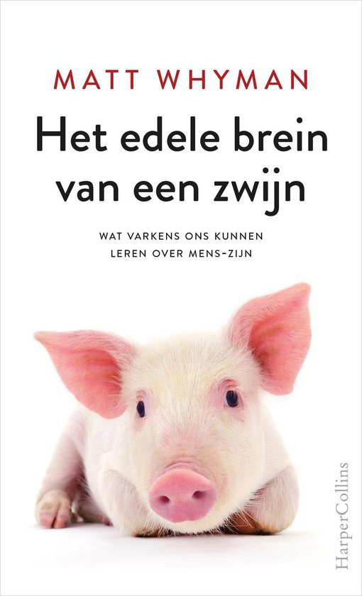 Het edele brein van een zwijn - cover