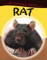 Rat