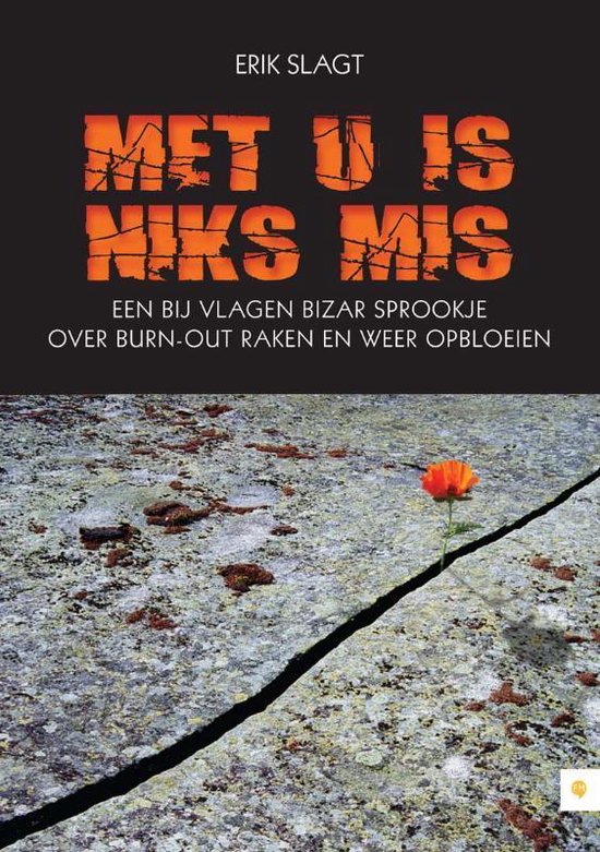 Cover van het boek 'Met u is niks mis'