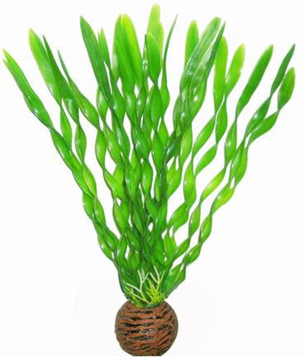 Superfish Easy Plants middel 20 cm - nr 1 thumbnail 2