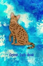 Ocicat Cats Rock