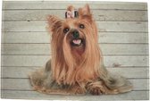 Mars & More deurmat binnenmat yorkshire hond meisje thema dieren cadeaus kado Yorkshire liefhebber