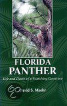 Florida Panther