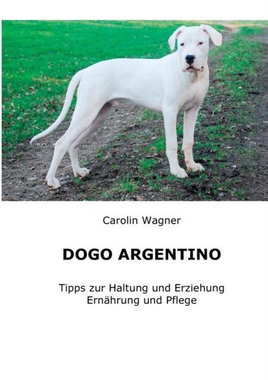 Dogo Argentino