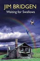 Waiting for Swallows
