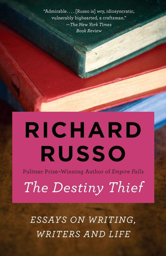 The Destiny Thief - cover