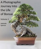 A Photographic Journey Into The Life of Bonsai