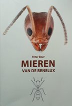 Mieren van de Benelux