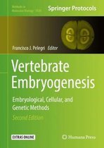 Vertebrate Embryogenesis