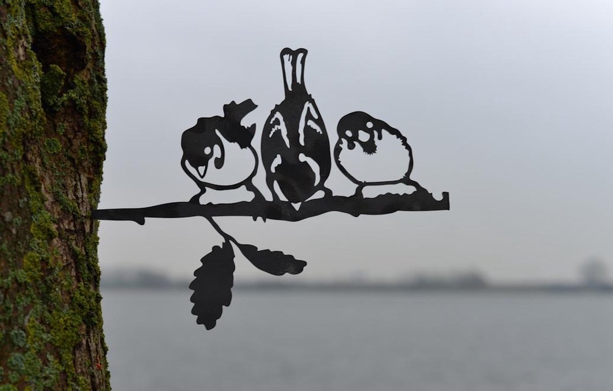 Birdwise Huismus trio metalen vogel