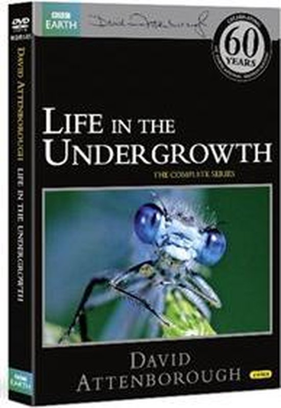 Life In The Undergrowth