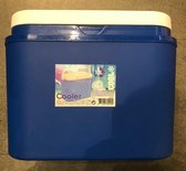 Koelbox - 10 liter - Strand - Camping - Auto - Inclusief 4 koelelementen