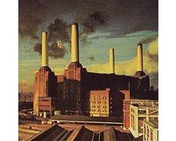 Animals