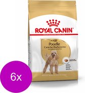 Royal Canin Bhn Poodle Adult - Hondenvoer - 6 x 1.5 kg