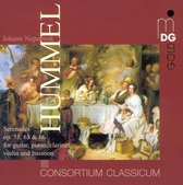 Consortium Classicum - Kammermusik (CD)