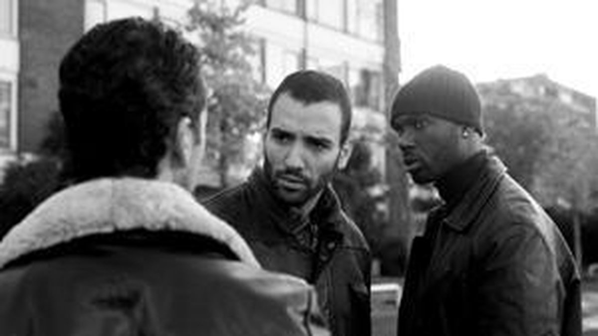 | Wolf special edition (Dvd), Bo Maerten | Dvd's Patta x Wolf: exclusieve collectie voor Wolf de film